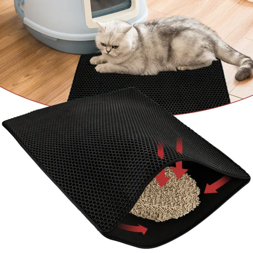 AbsorbiLitière